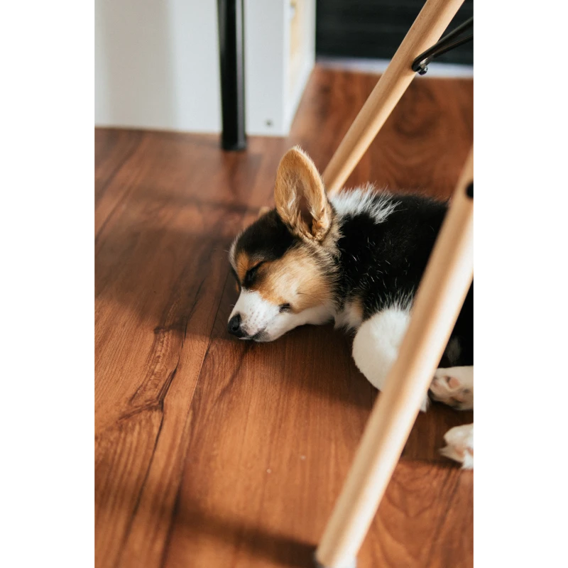 wooden flooring maintenance 1 - Ultimate Floor Sanding Company